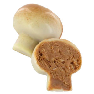 champignon praline