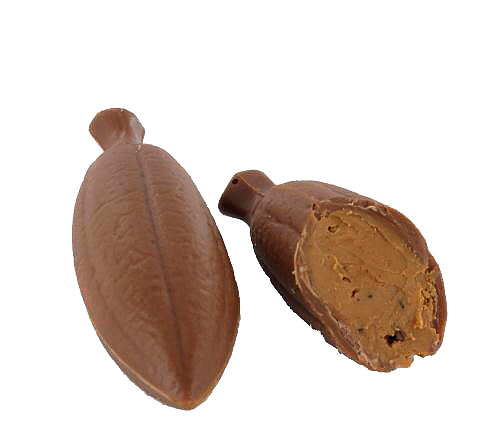 cacaoboon praline