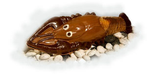kreeft sterrenbeeld