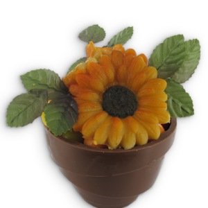 bloempotje met zonnebloem
