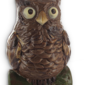 grote uil