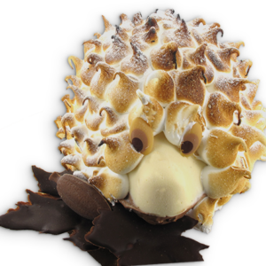 egel van vanille roomijs en chocolade