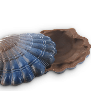 chocolade schelpen