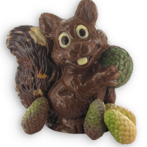 eekhoorn met denne-appels
