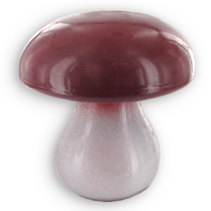 paddestoel
