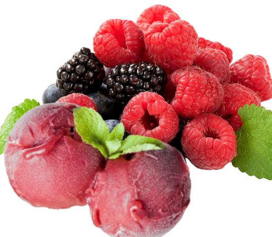 Sorbet van woudvruchten
