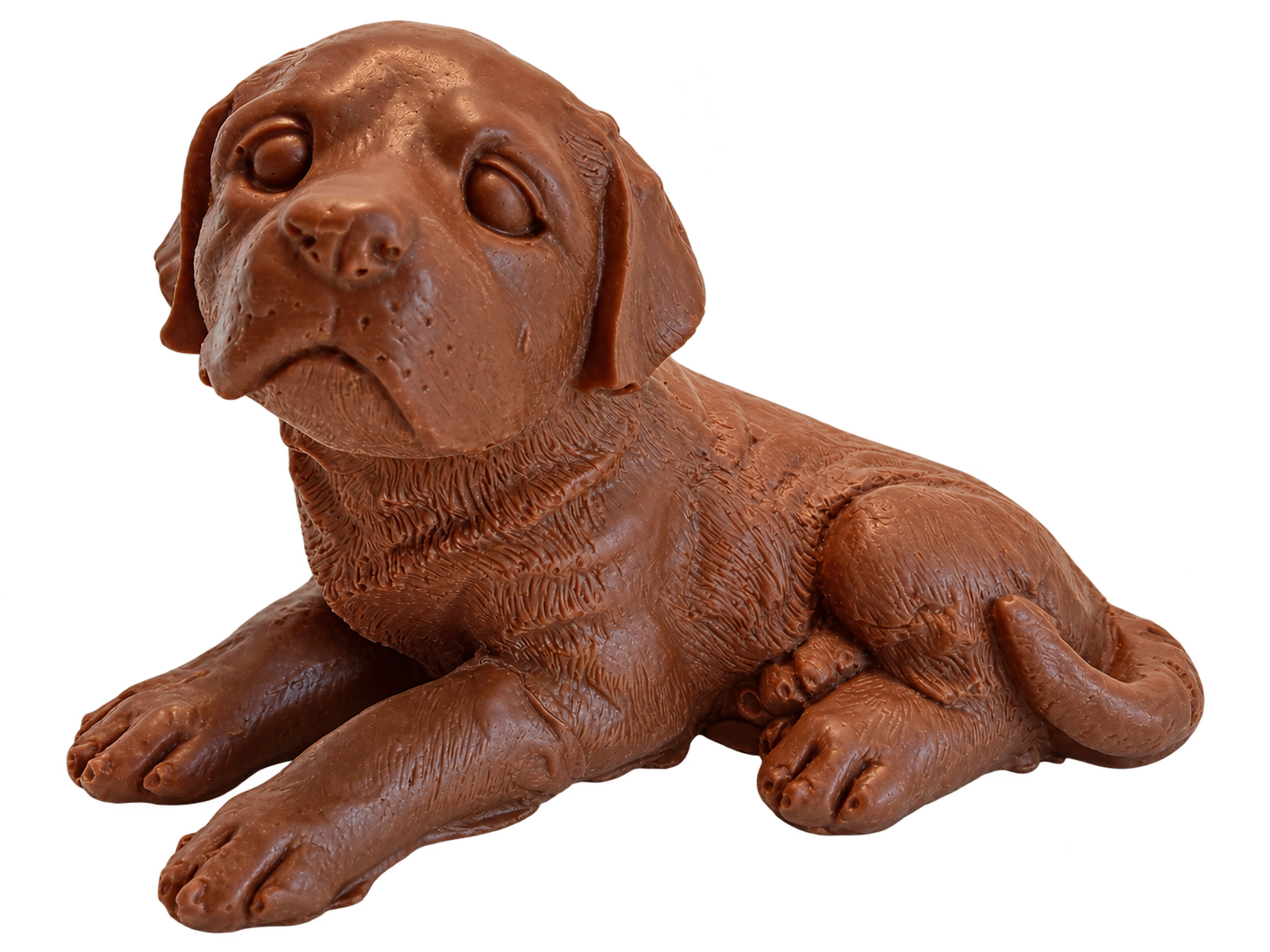 liggende hond marioca