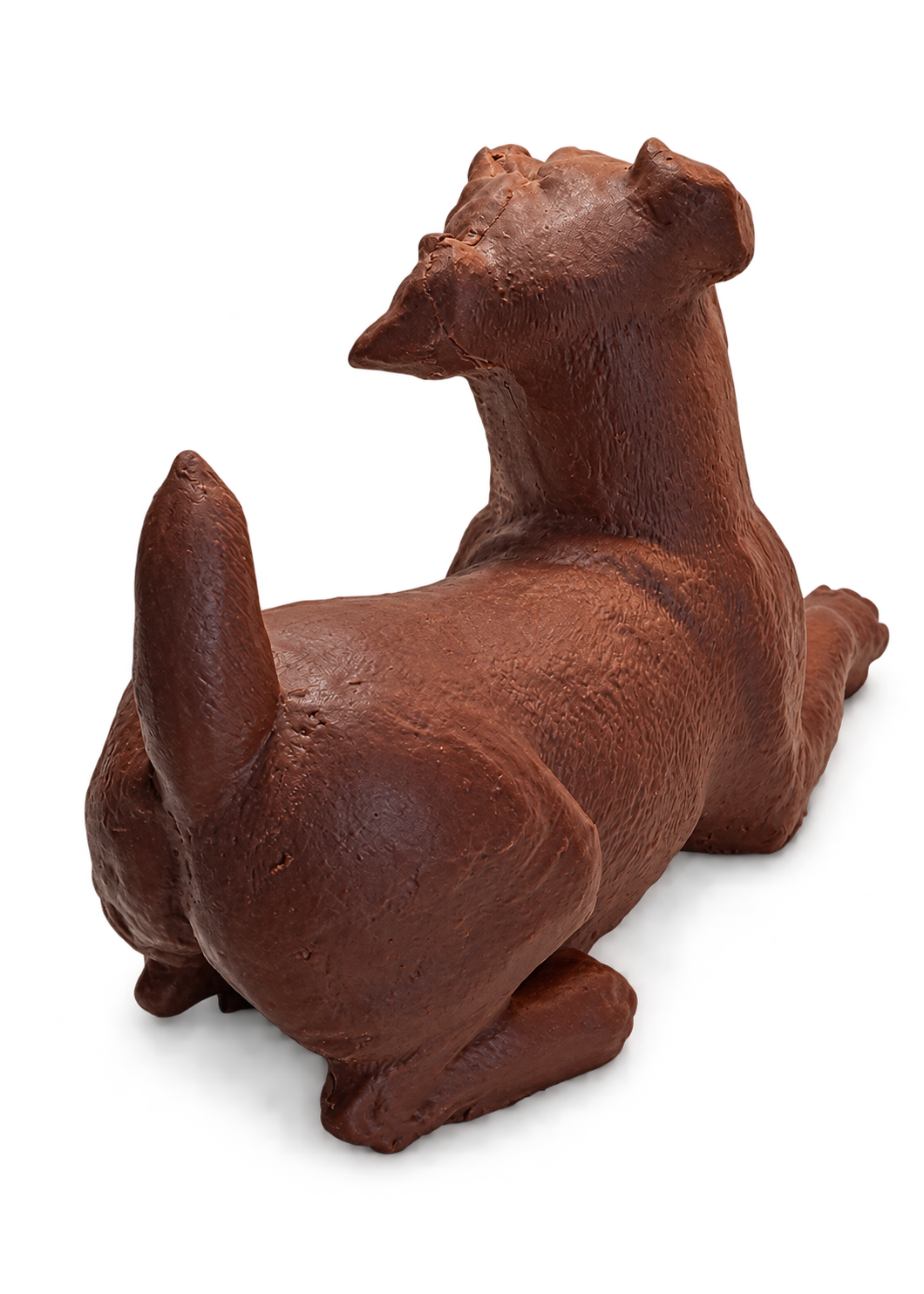 labrador chocolade marioca
