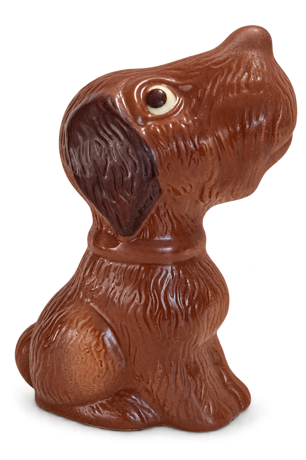 hond in chocolade marioca