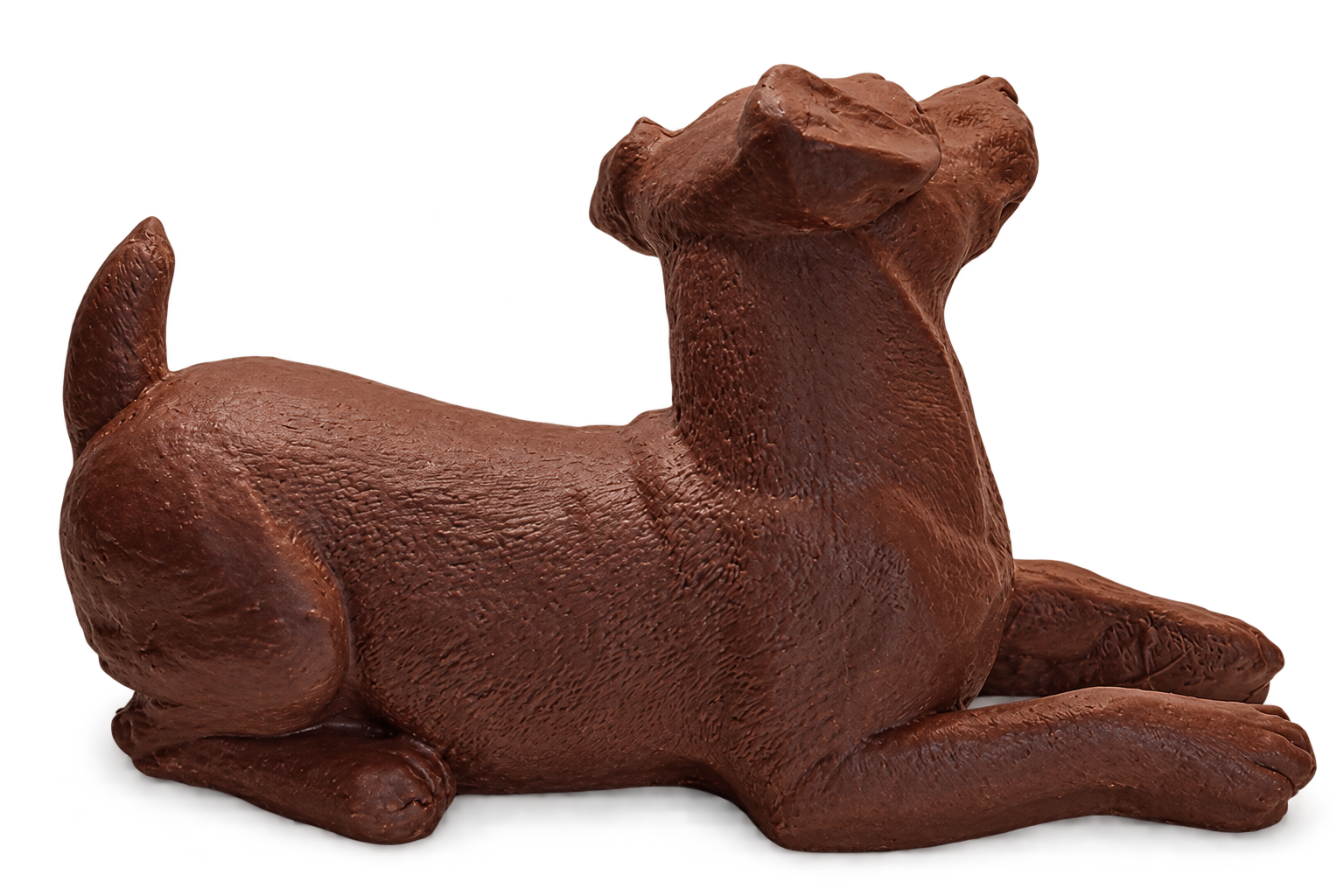 chocolade hond marioca